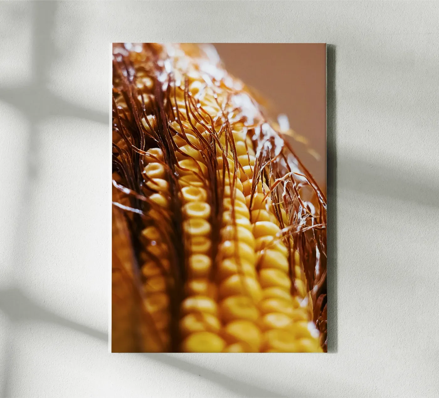 Pannocchia di mais II - Stampa fine art tela da jay
