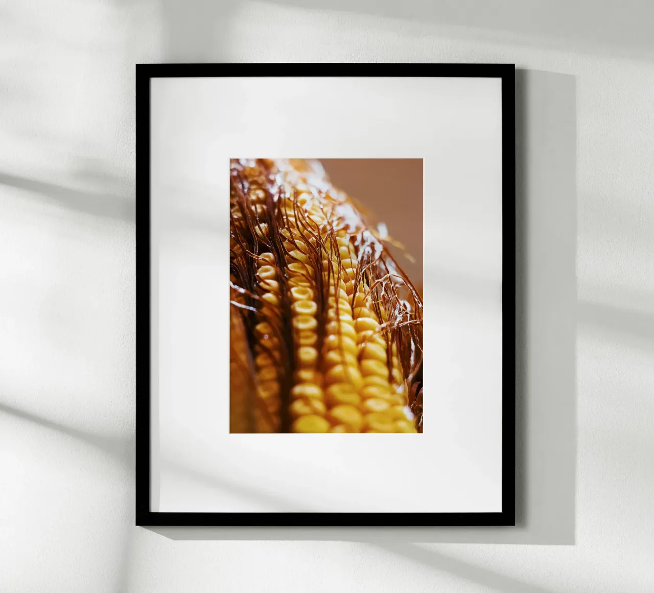 Pannocchia di mais II - Stampa fine art poster con telaio in alluminio da jay
