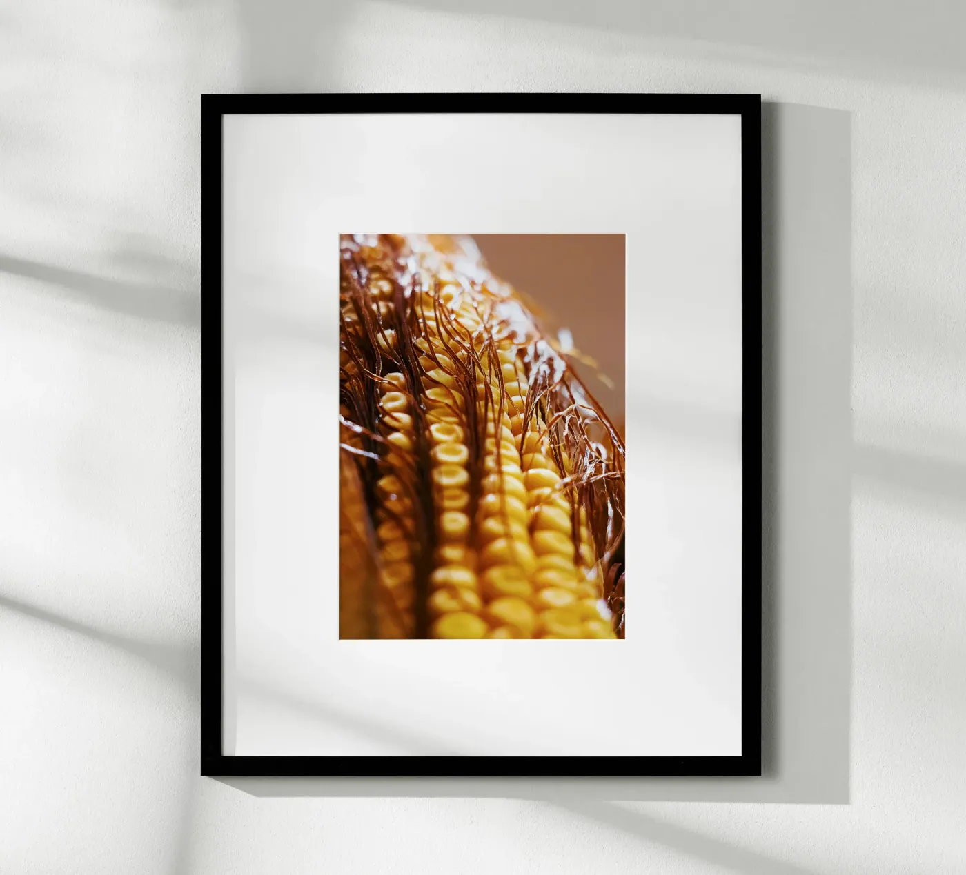 Corn Cob II – Fine Art Print Poster von jay