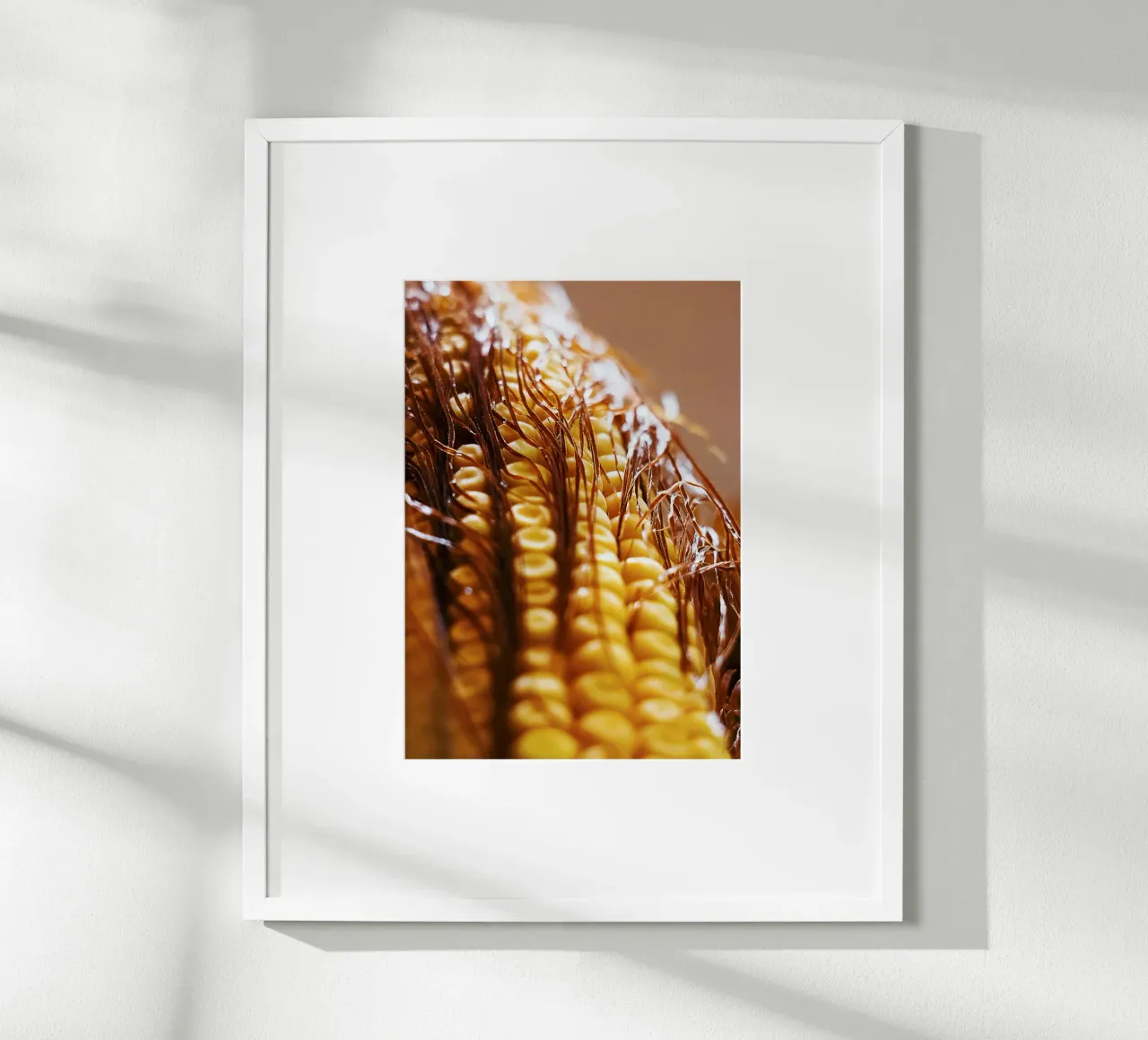 Pannocchia di mais II - Stampa fine art poster con telaio in alluminio da jay