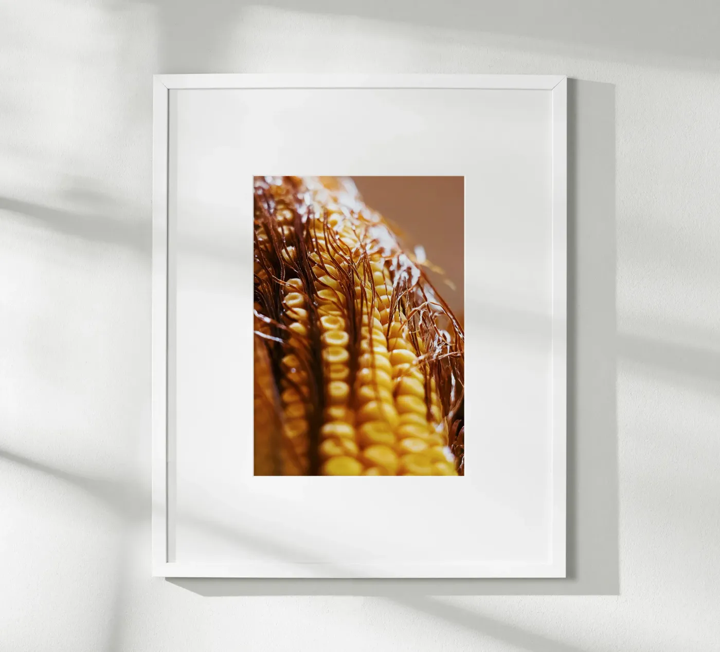 Corn Cob II – Fine Art Print Poster von jay