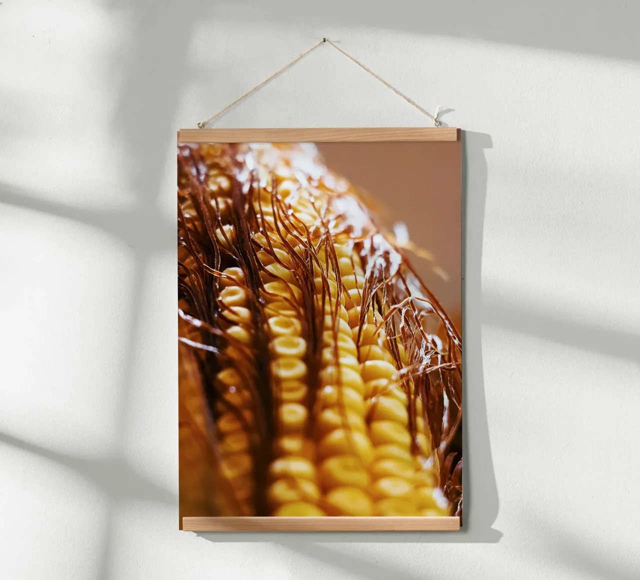 Pannocchia di mais II - Stampa fine art poster con telaio in alluminio da jay