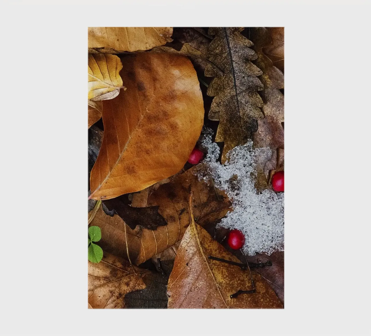 Snow in Autumn – Fine Art Print notebook by jay
