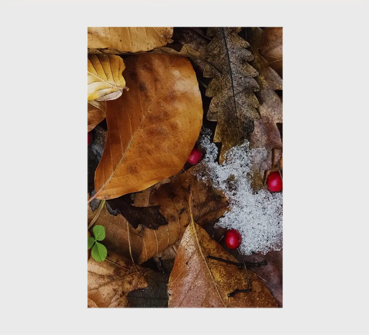 Snow in Autumn – Fine Art Print notebook by jay