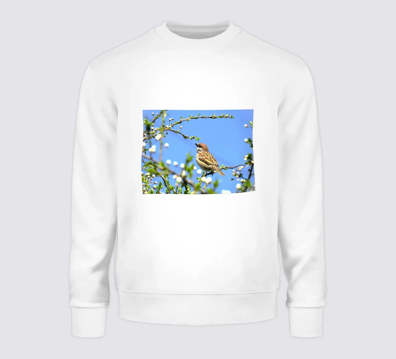 Tiny Sparrow Shape - Belleza media sudadera de Nature's Palette