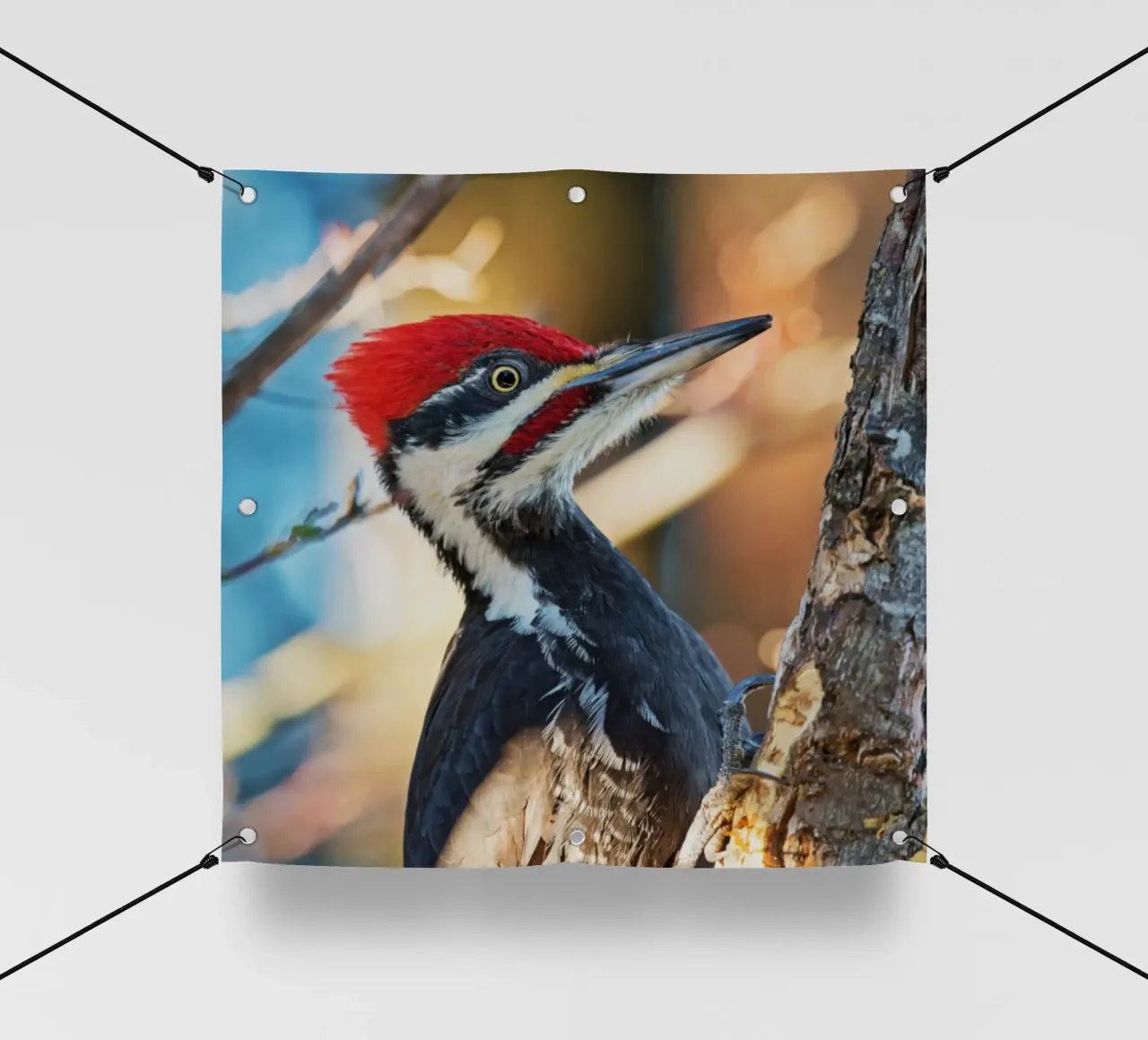 Ritmo sull'albero telo in pvc da Nature's Palette