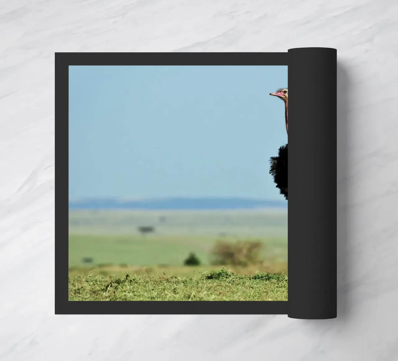 Strong Steps doormat by Nature's Palette