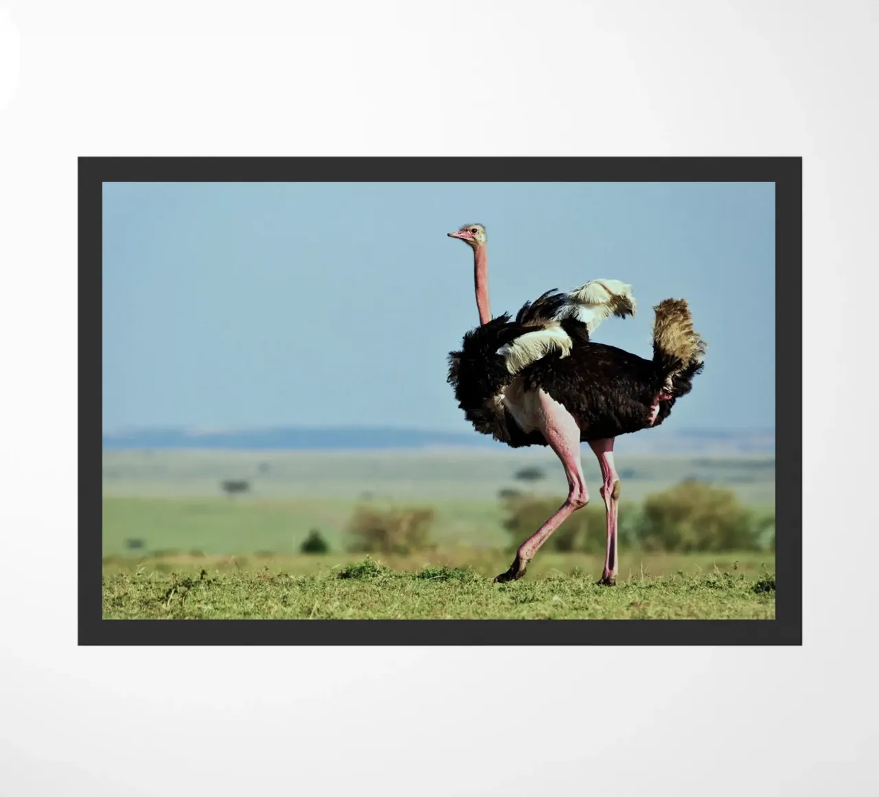 Strong Steps doormat by Nature's Palette