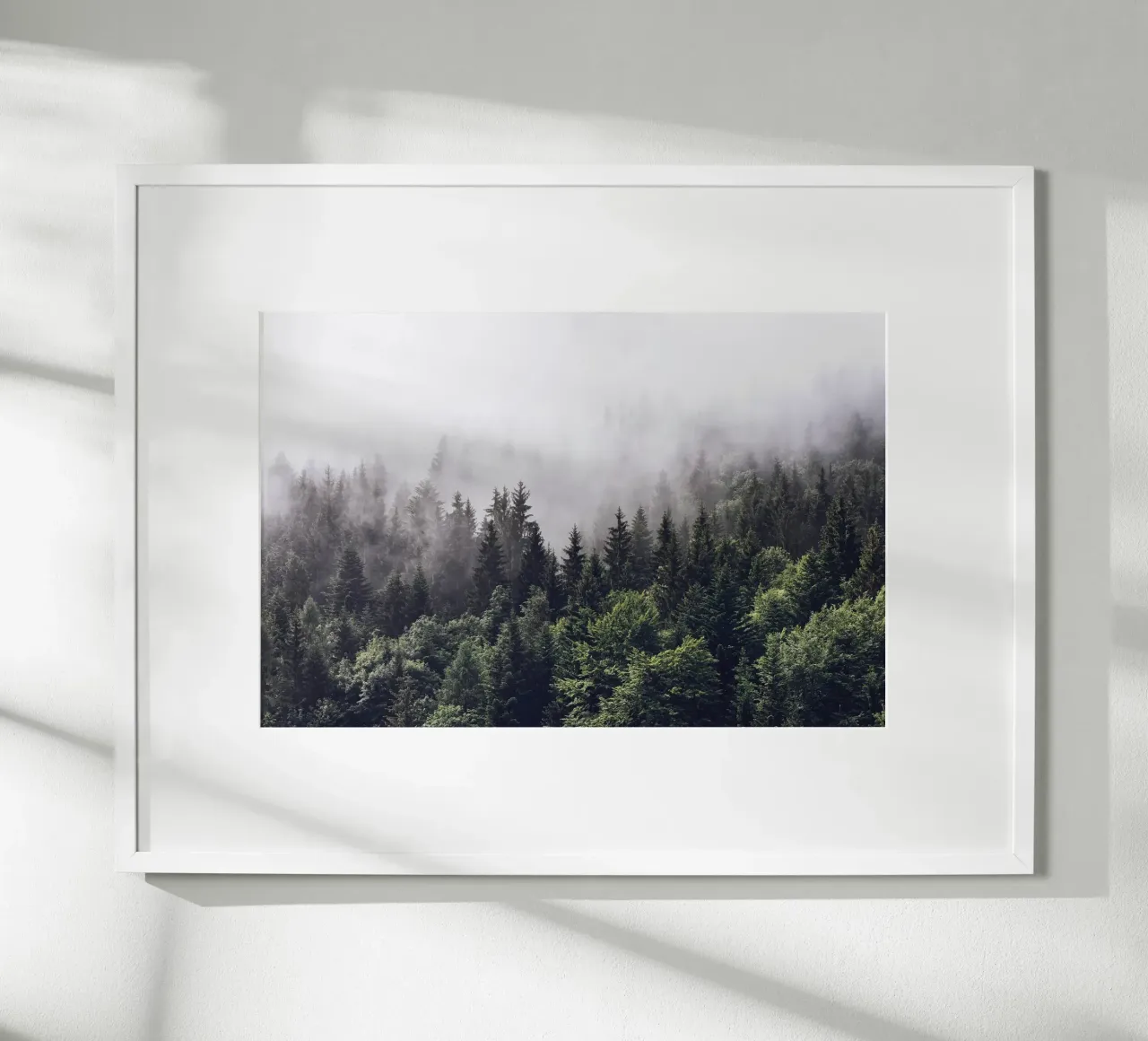 Foresta nebbiosa Natura poster da maluniq
