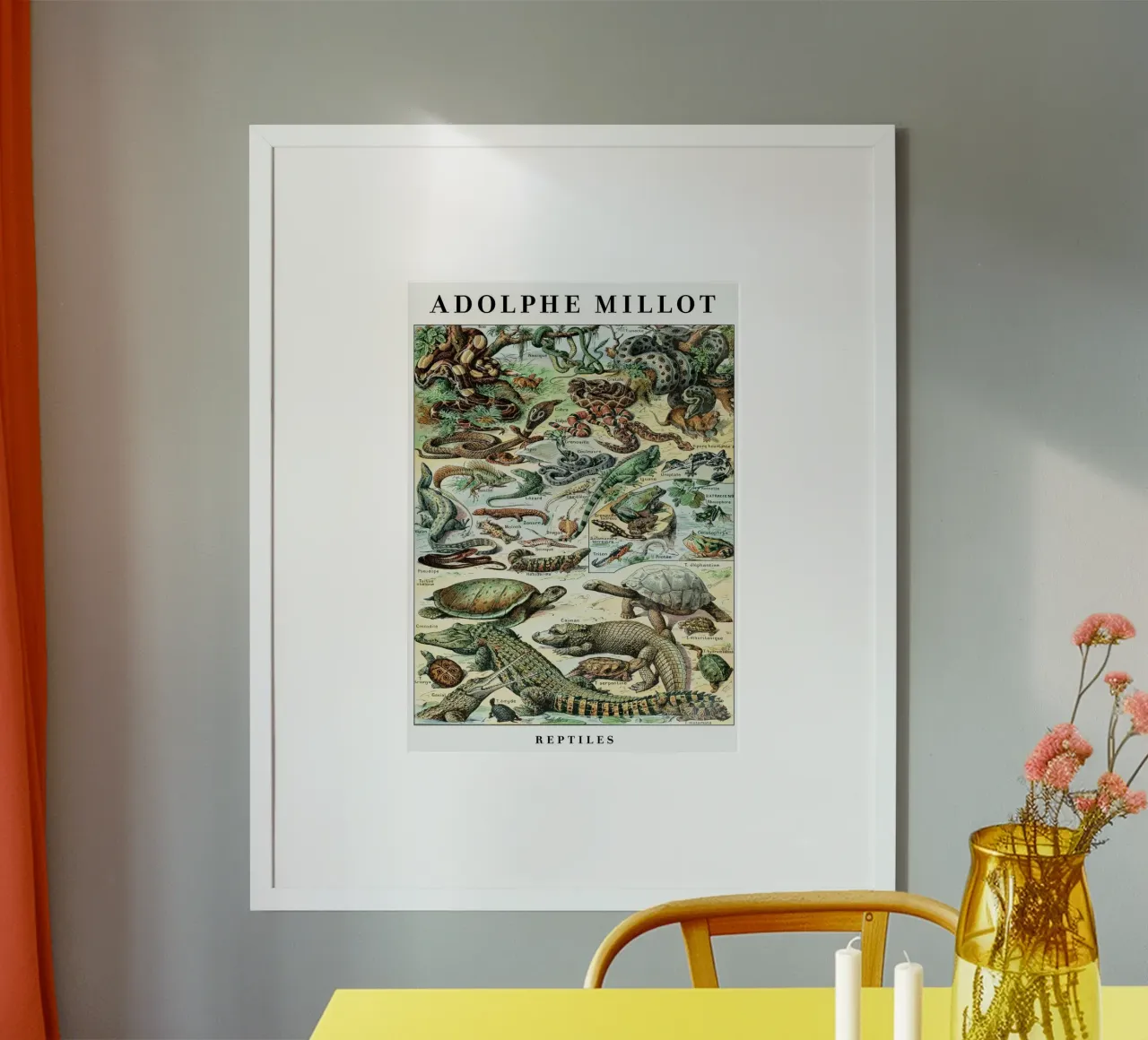 Poster d'epoca con illustrazione scientifica sui rettili poster con telaio in legno da Graham Robertson
