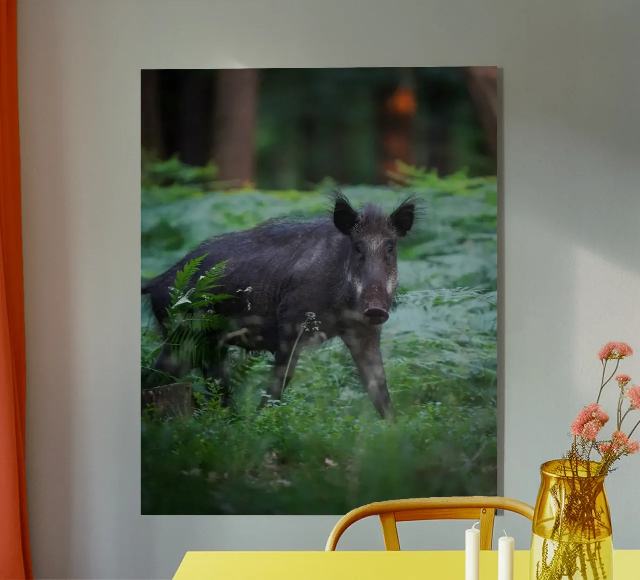Cinghiale nella foresta plexiglass da Tom's Wildlife