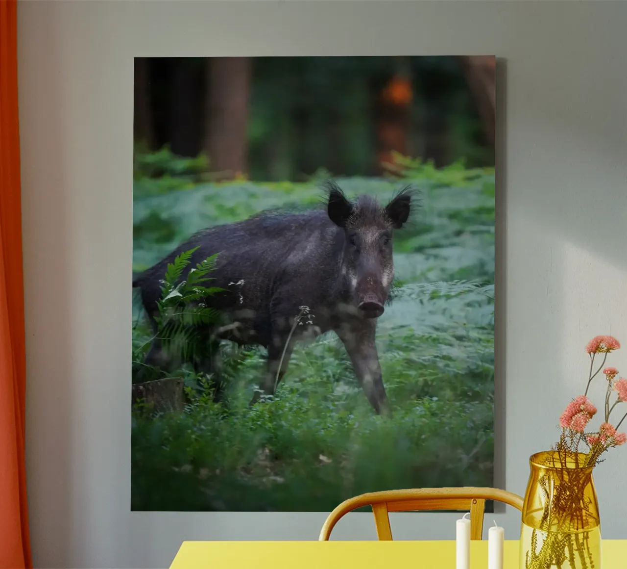 Cinghiale nella foresta tela con Cornice a cassetta da Tom's Wildlife