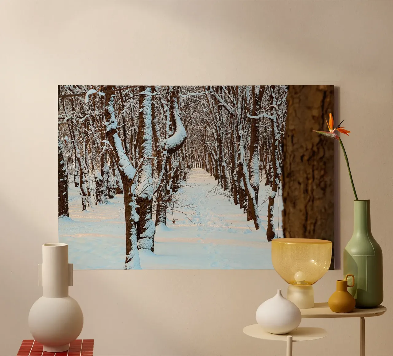 Pathways of Winter Silence - Nature Photography Print canvas with Floater frame by jay