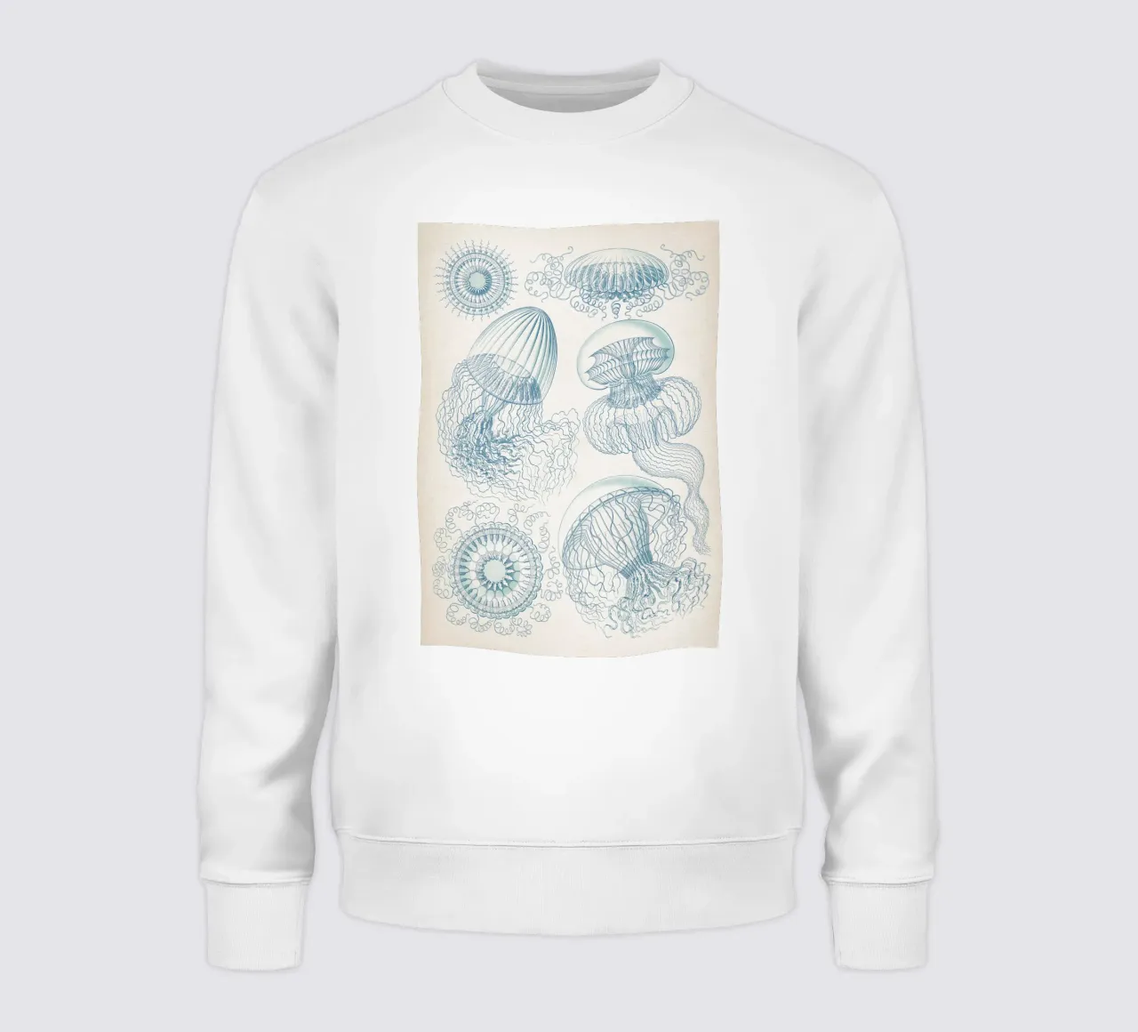Vintage Haeckel 6 Tafel 36 Faltenquallen sweatshirt by Vintage Print Collection