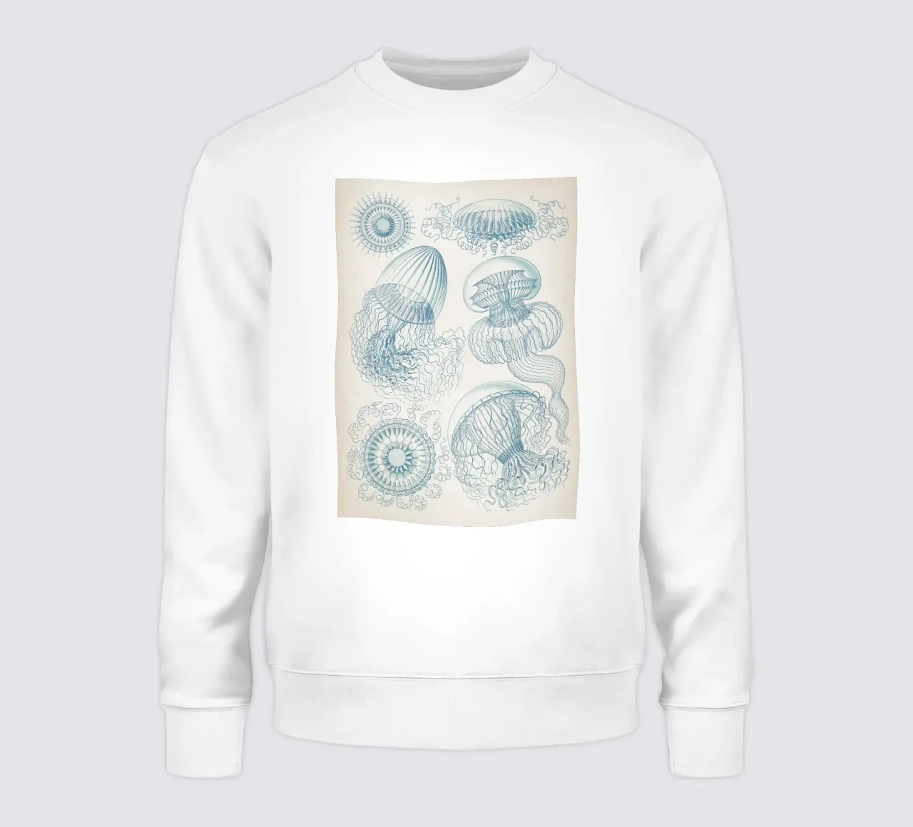 Vintage Haeckel 6 Tafel 36 Faltenquallen sweatshirt by Vintage Print Collection