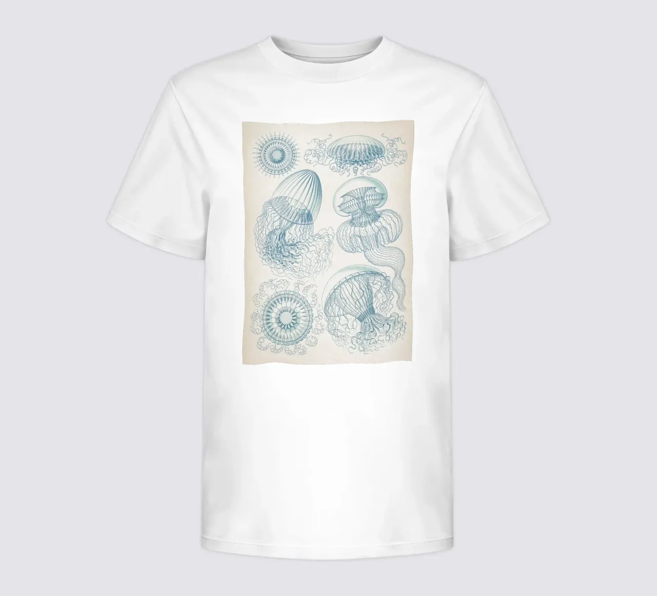 Vintage Haeckel 6 Tafel 36 Faltenquallen kids t-shirt by Vintage Print Collection