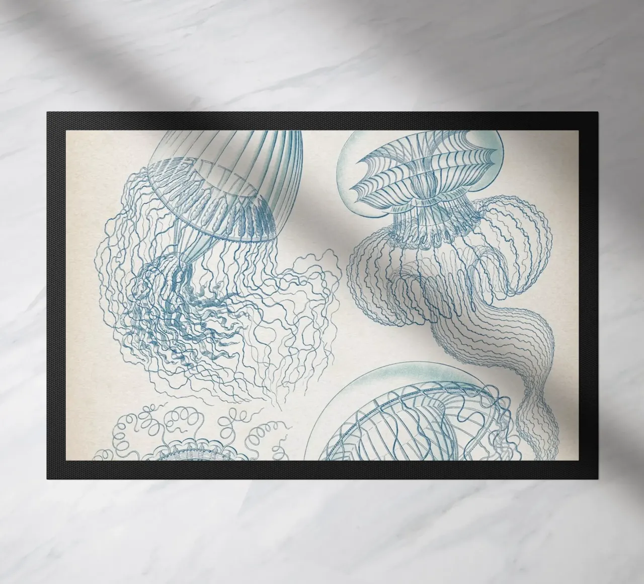 Vintage Haeckel 6 Tafel 36 Faltenquallen doormat by Vintage Print Collection