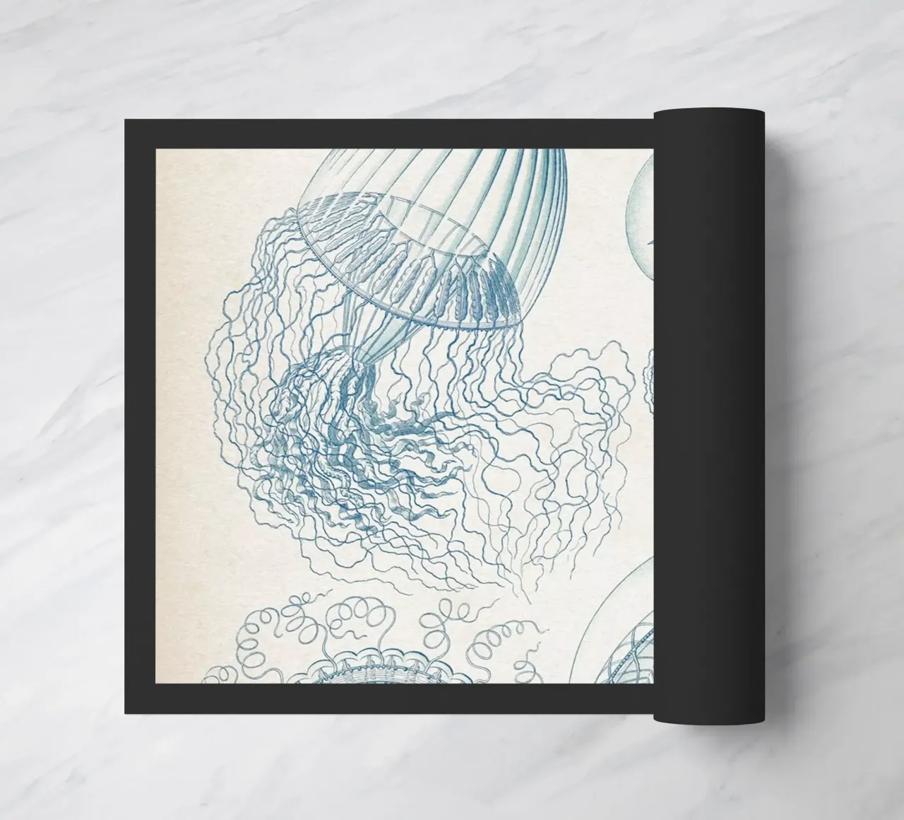 Vintage Haeckel 6 Tafel 36 Faltenquallen doormat by Vintage Print Collection