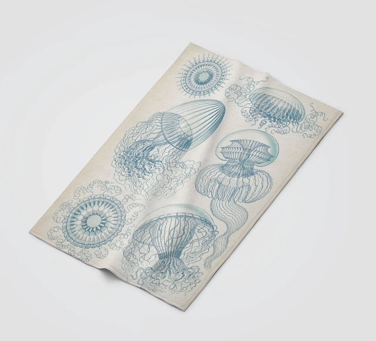 Vintage Haeckel 6 Tafel 36 Faltenquallen fleece blanket by Vintage Print Collection