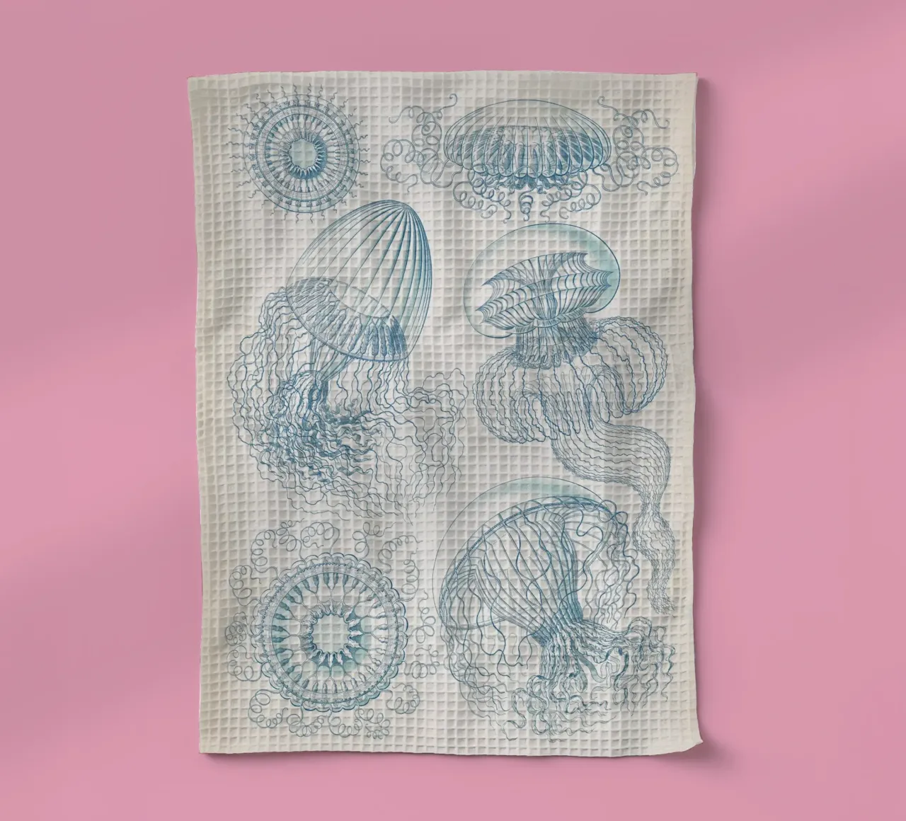 Vintage Haeckel 6 Tafel 36 Faltenquallen tea towel by Vintage Print Collection