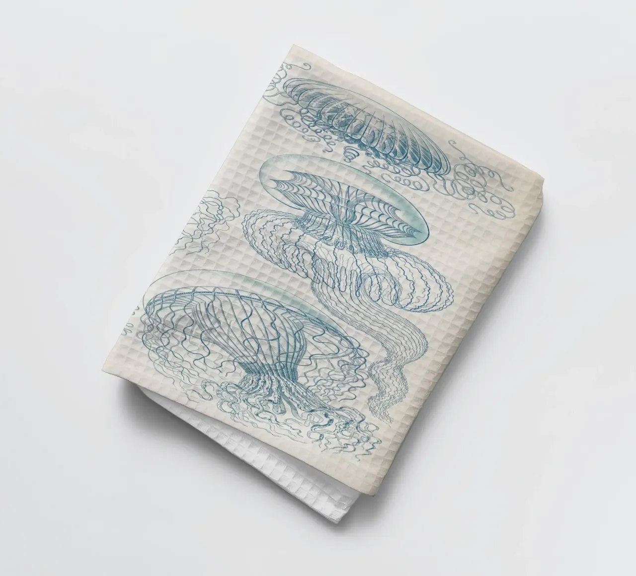 Vintage Haeckel 6 Tafel 36 Faltenquallen tea towel by Vintage Print Collection