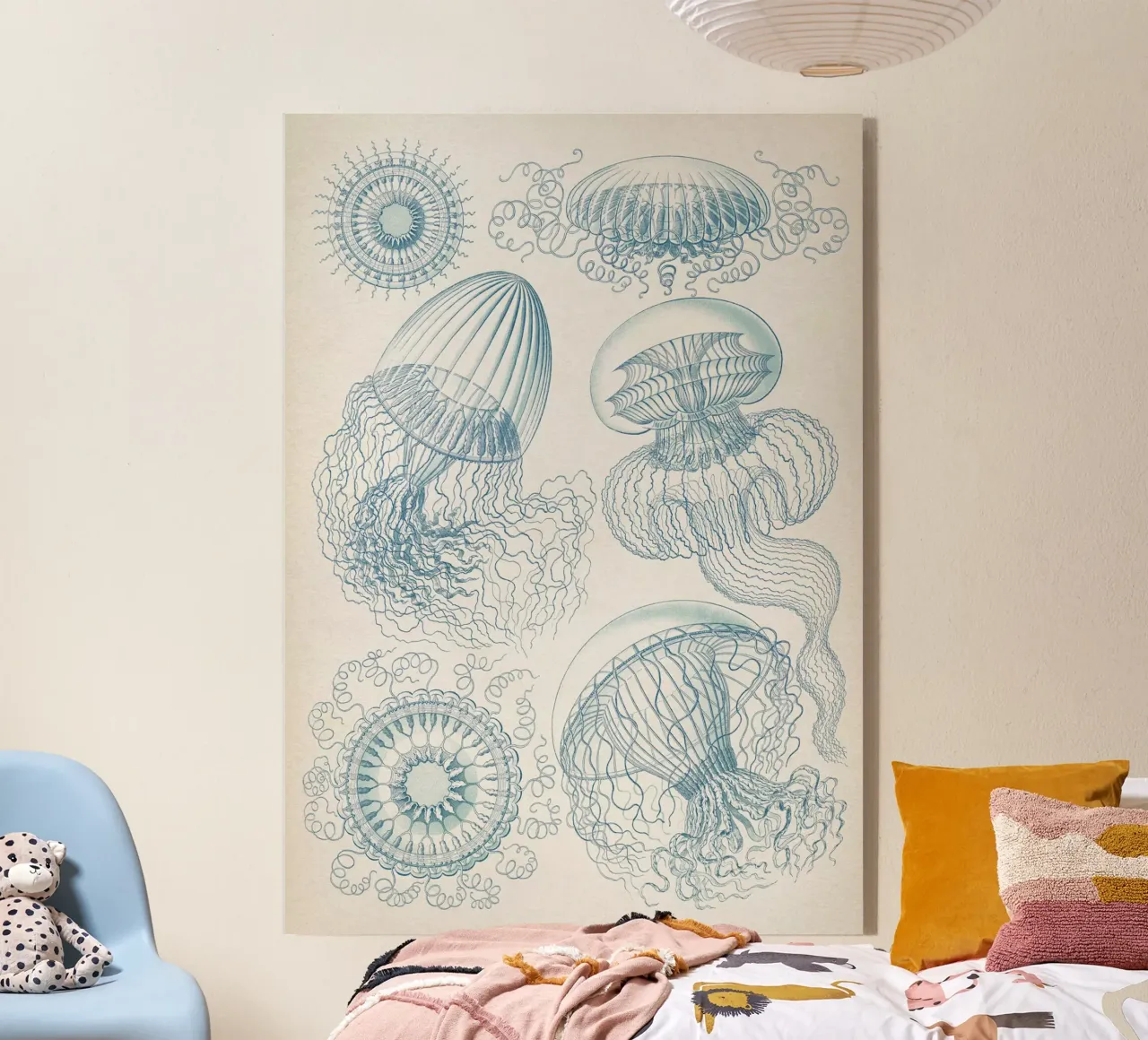 Vintage Haeckel 6 Tafel 36 Faltenquallen acrylic glass by Vintage Print Collection