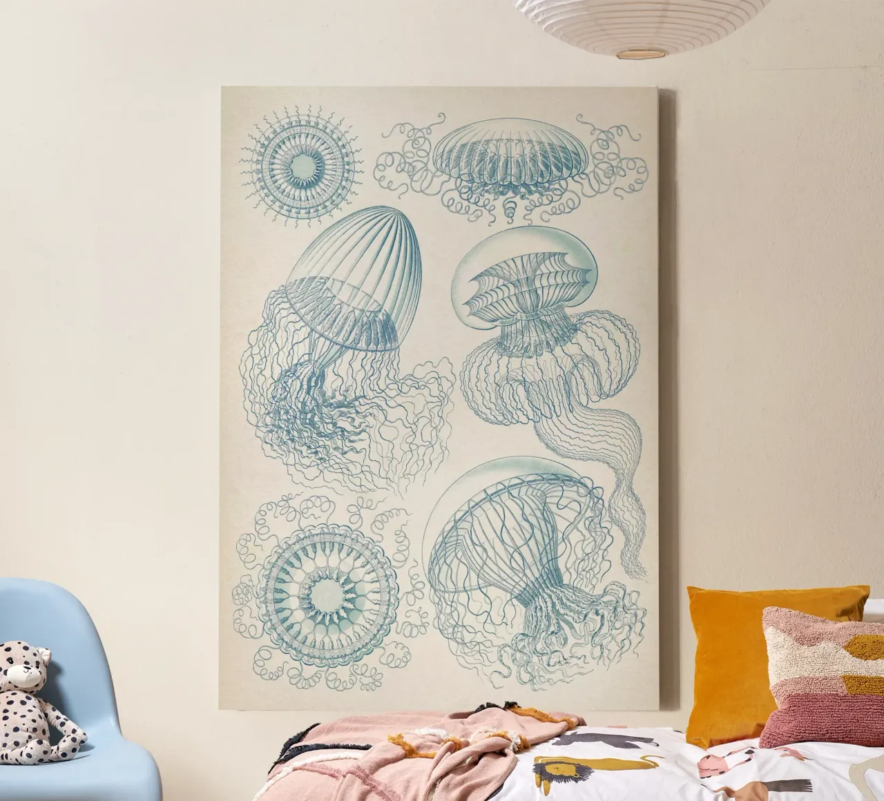 Vintage Haeckel 6 Tafel 36 Faltenquallen canvas by Vintage Print Collection