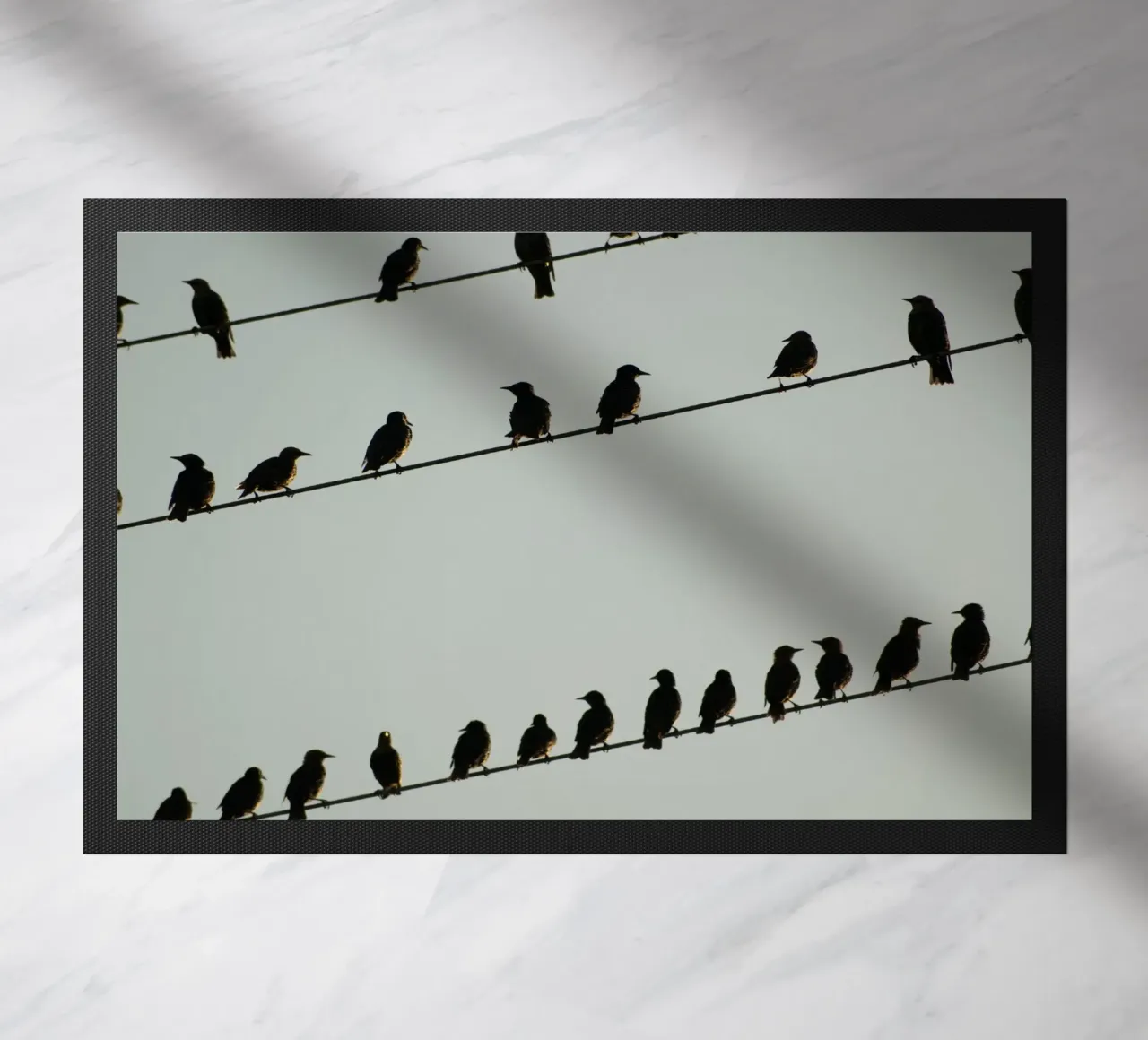 Birds zerbino da Carol Maia