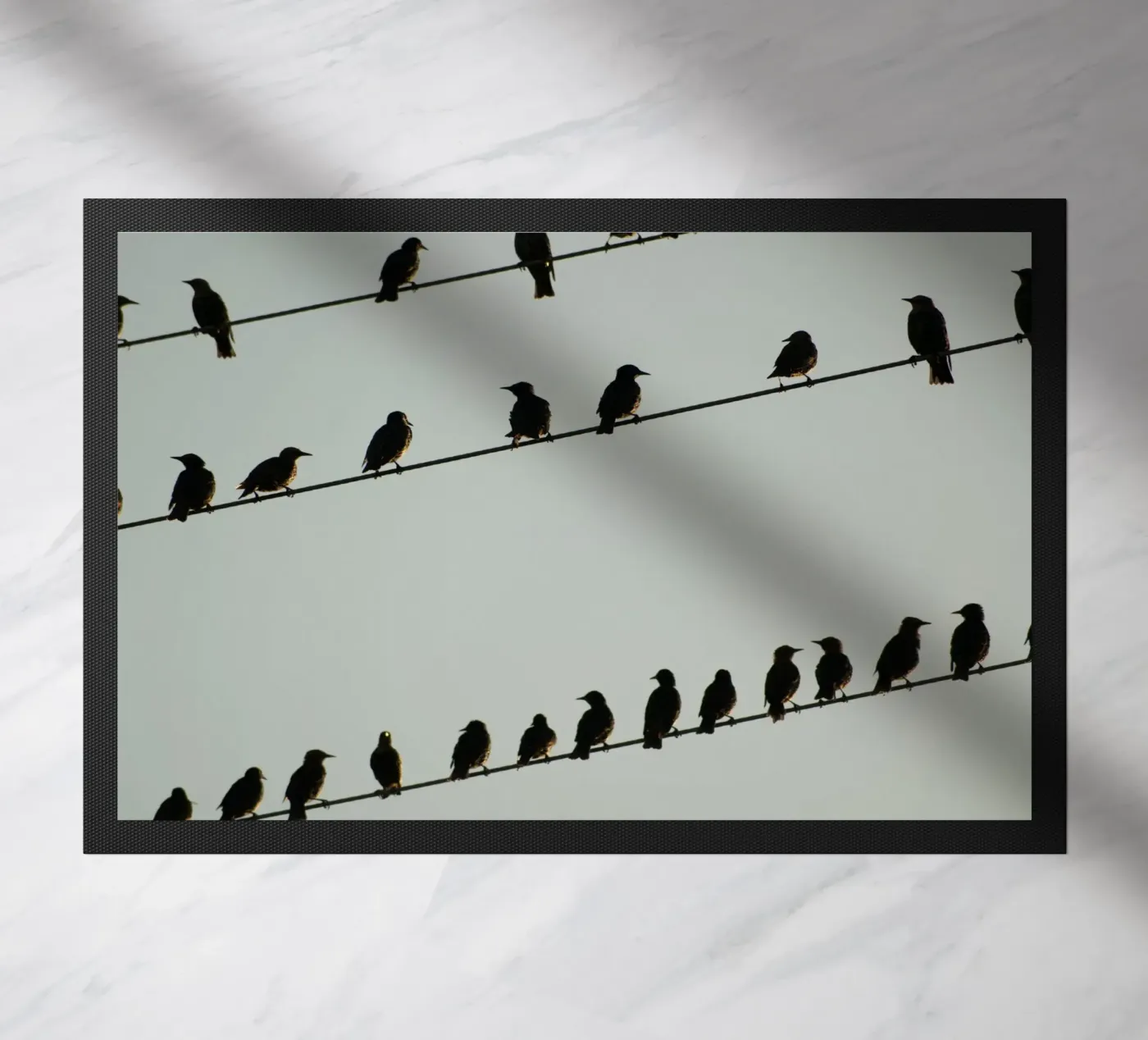 Birds zerbino da Carol Maia