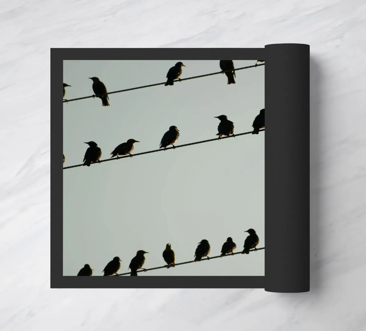 Birds zerbino da Carol Maia