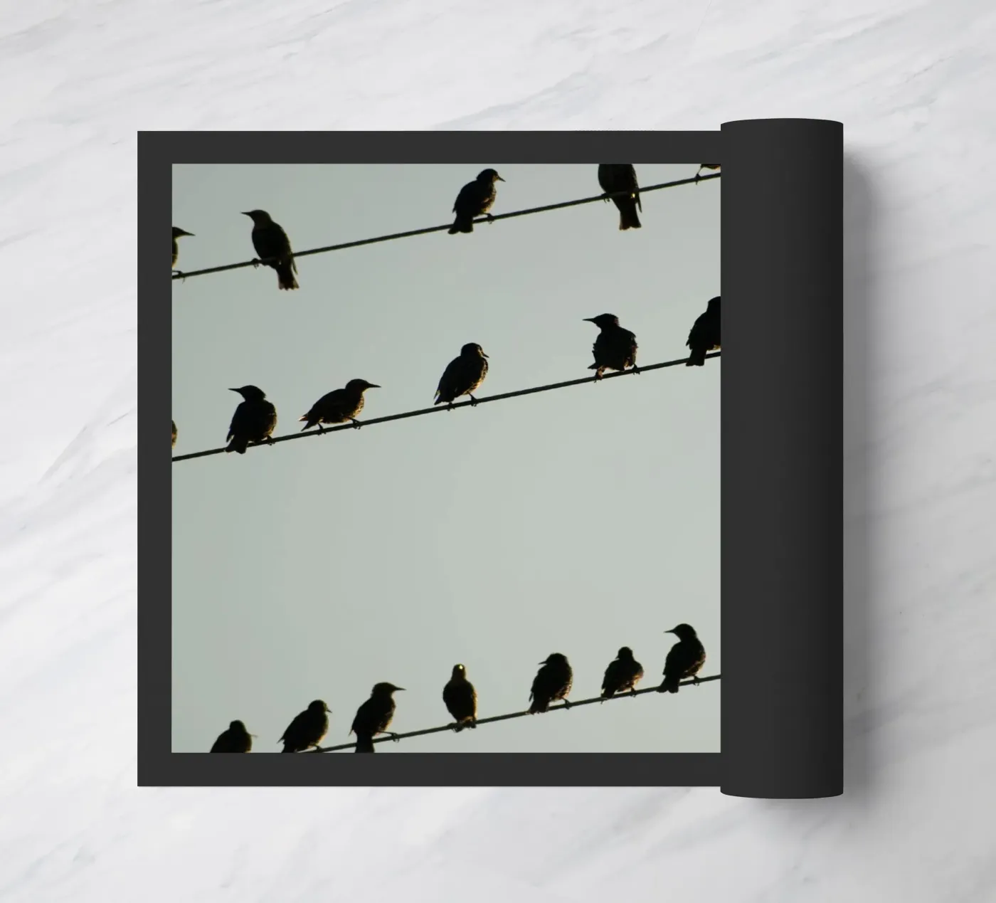 Birds doormat by Carol Maia