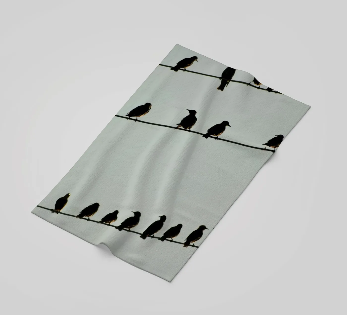 Birds telo mare da Carol Maia