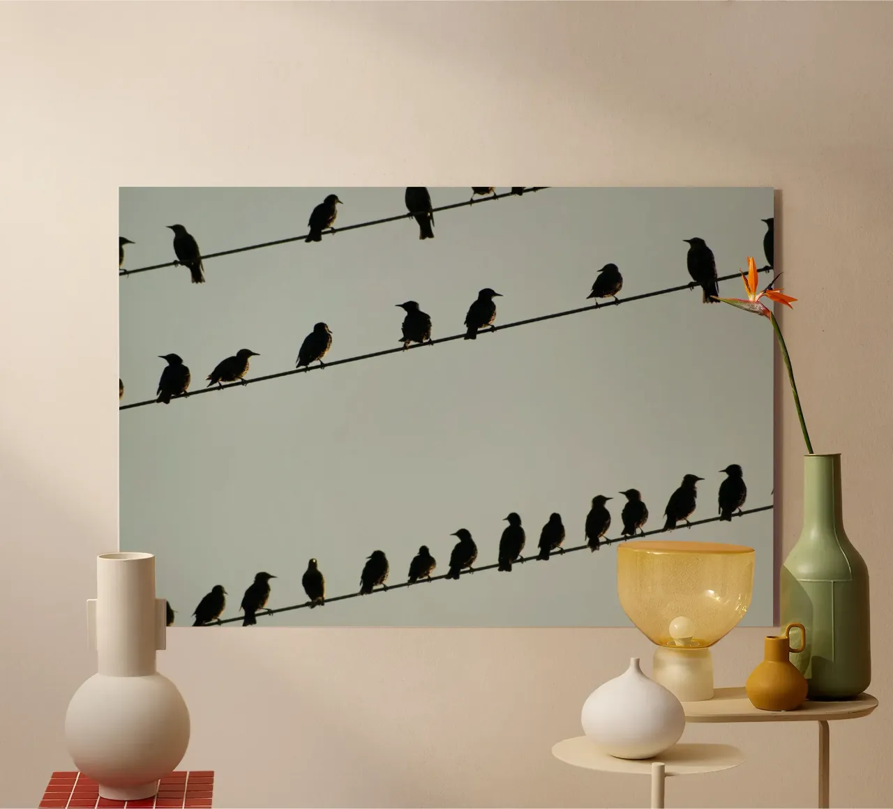 Birds plexiglass da Carol Maia