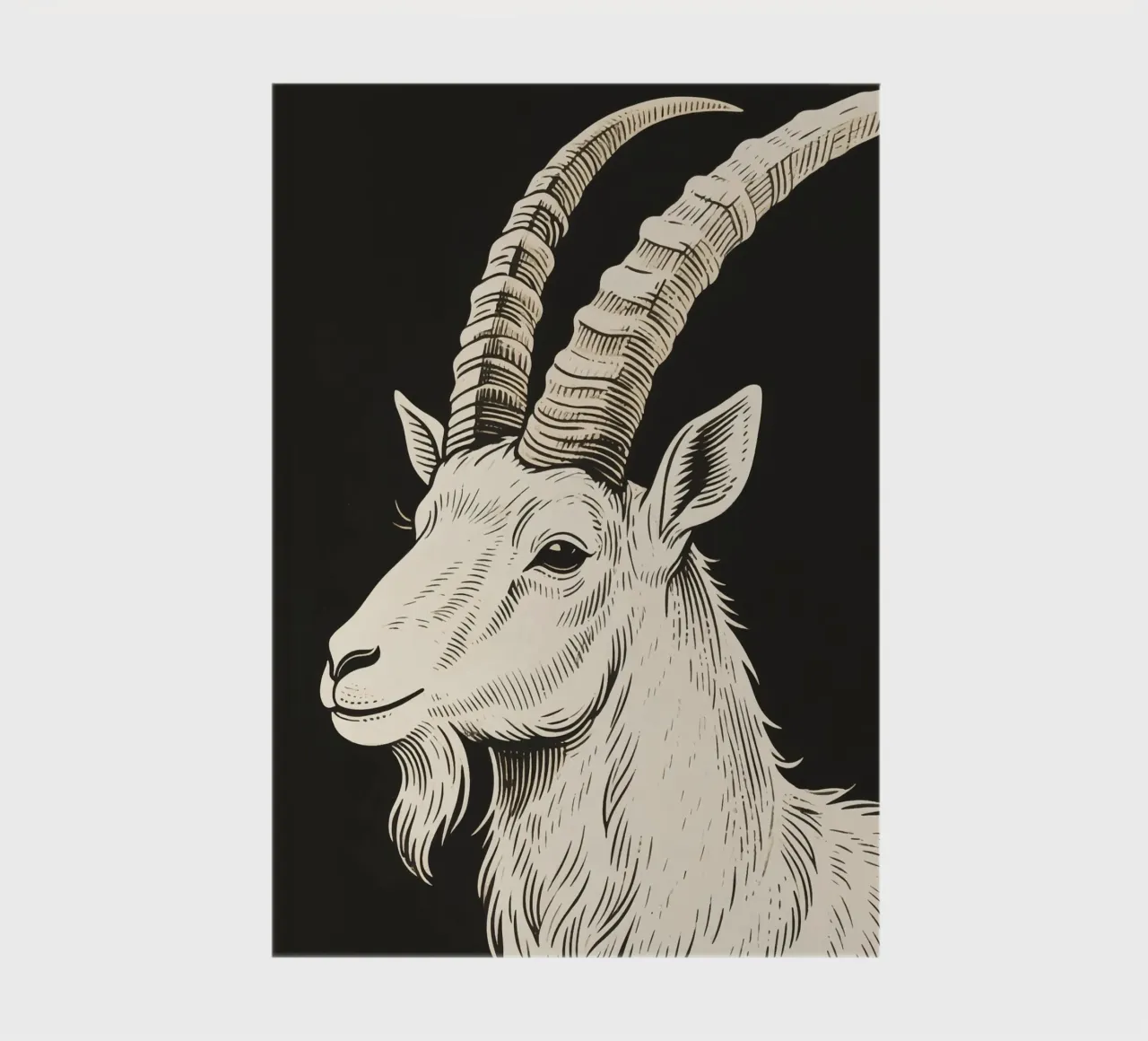Ibex notebook by knowledge