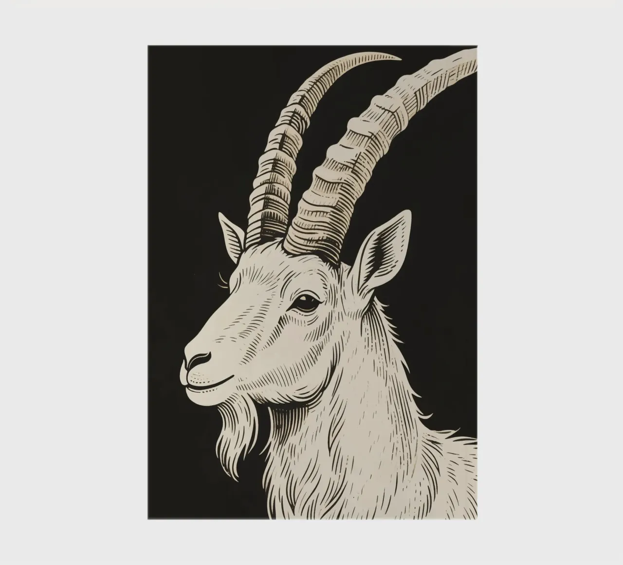 Ibex notebook by knowledge