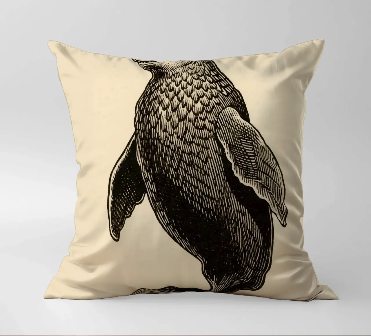 Sigillo cuscino da knowledge