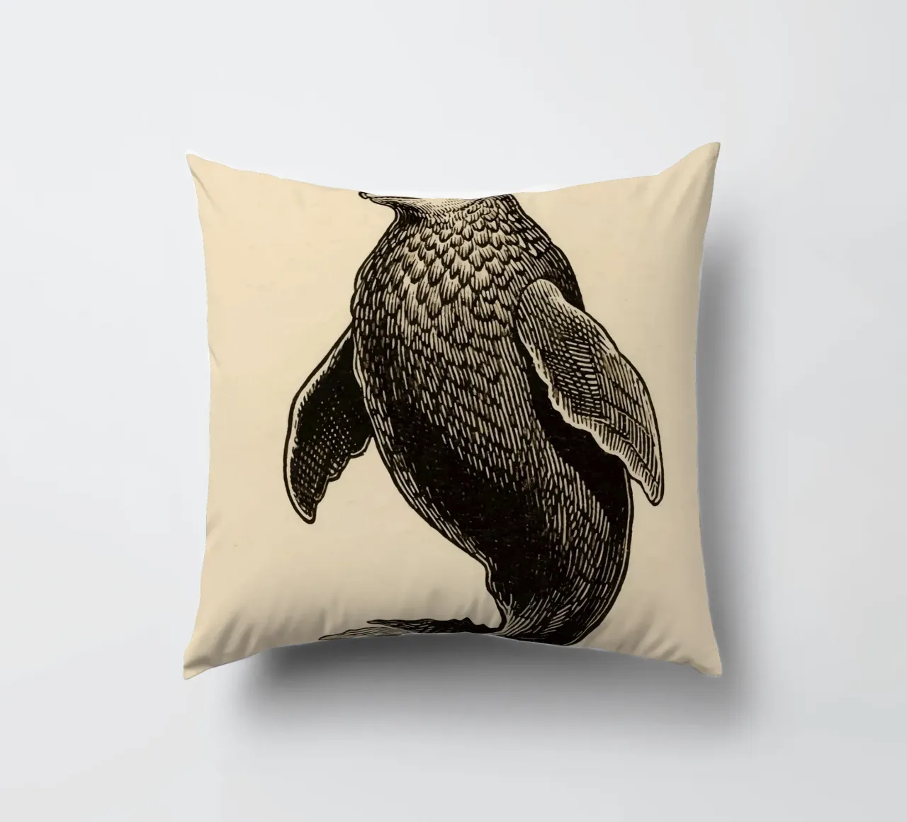 Sigillo cuscino da knowledge