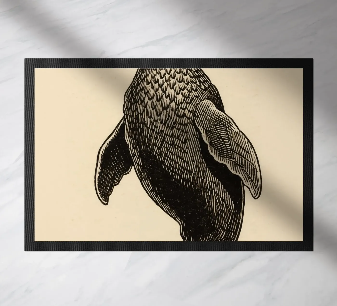 Seal zerbino da knowledge