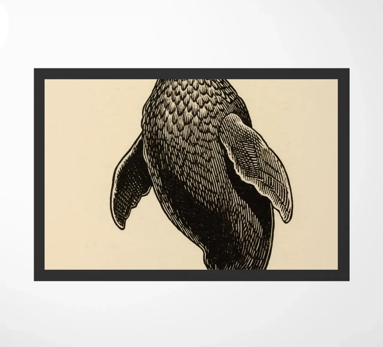 Seal doormat by knowledge