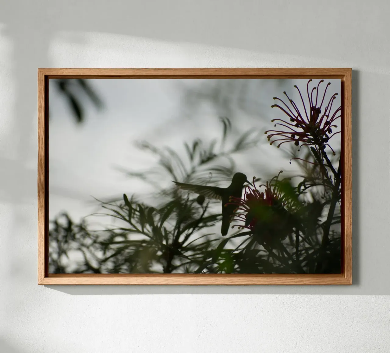 Humming bird and flowers tela con Cornice a cassetta da Carol Maia