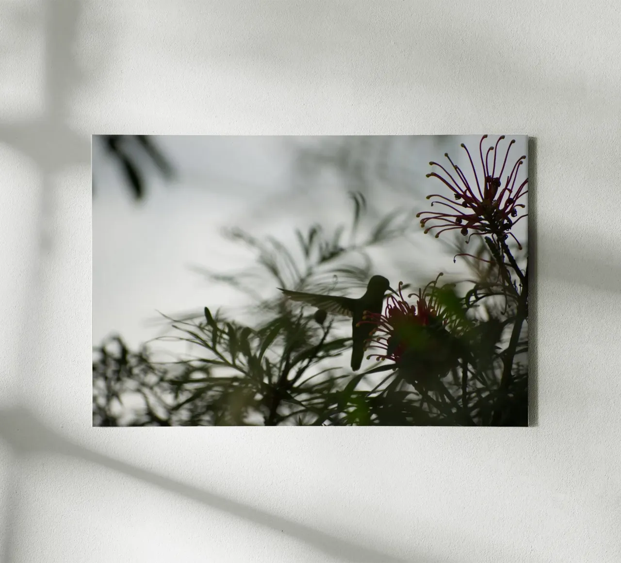Humming bird and flowers tela con Cornice a cassetta da Carol Maia