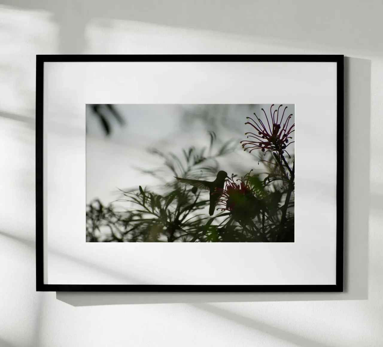 Humming bird and flowers poster da Carol Maia