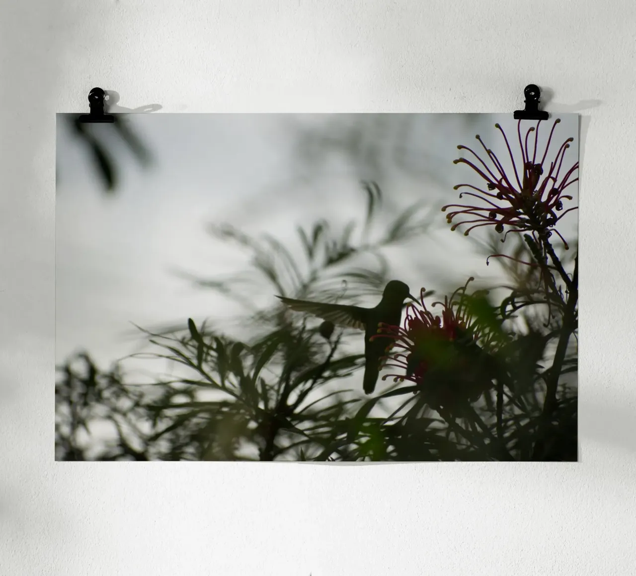 Humming bird and flowers poster da Carol Maia