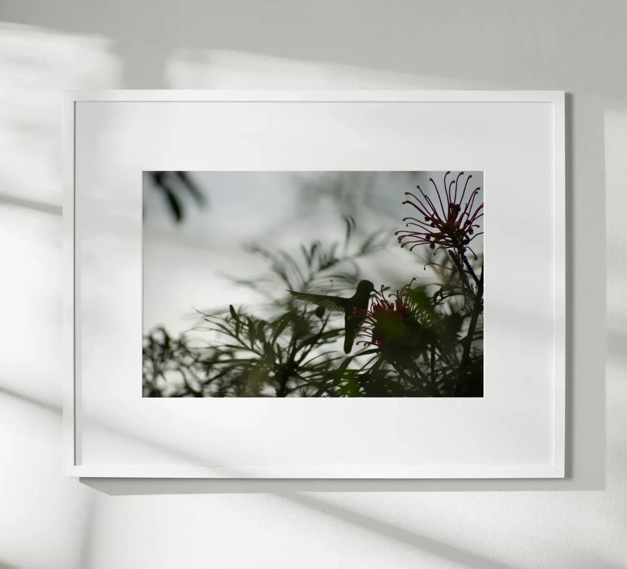 Humming bird and flowers poster da Carol Maia