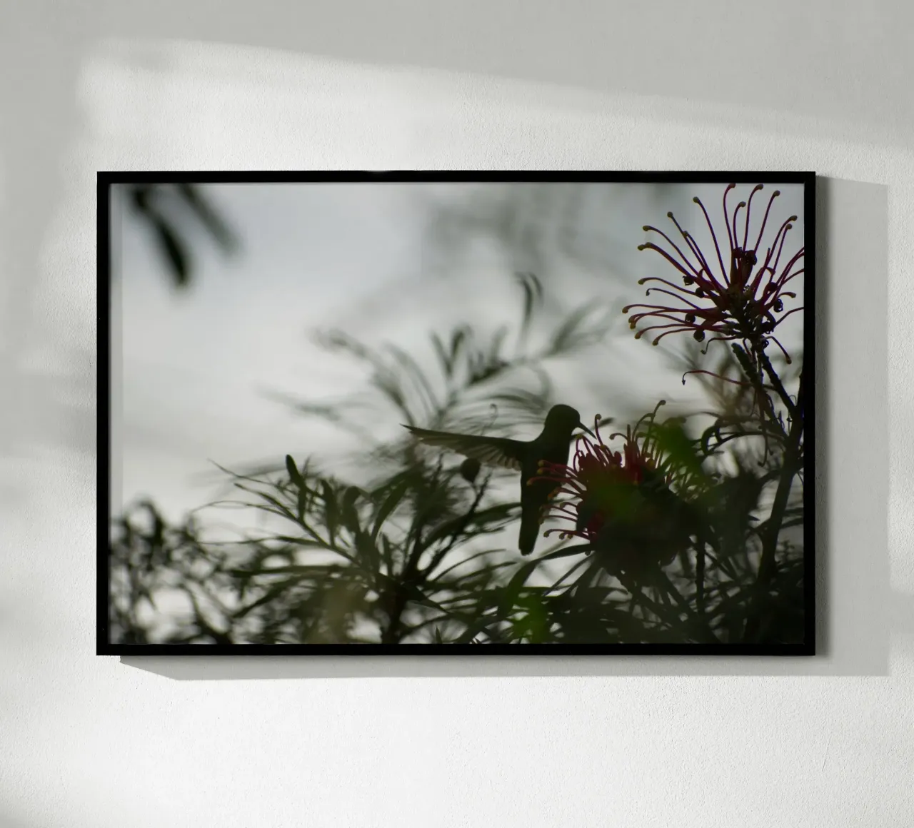 Humming bird and flowers poster da Carol Maia