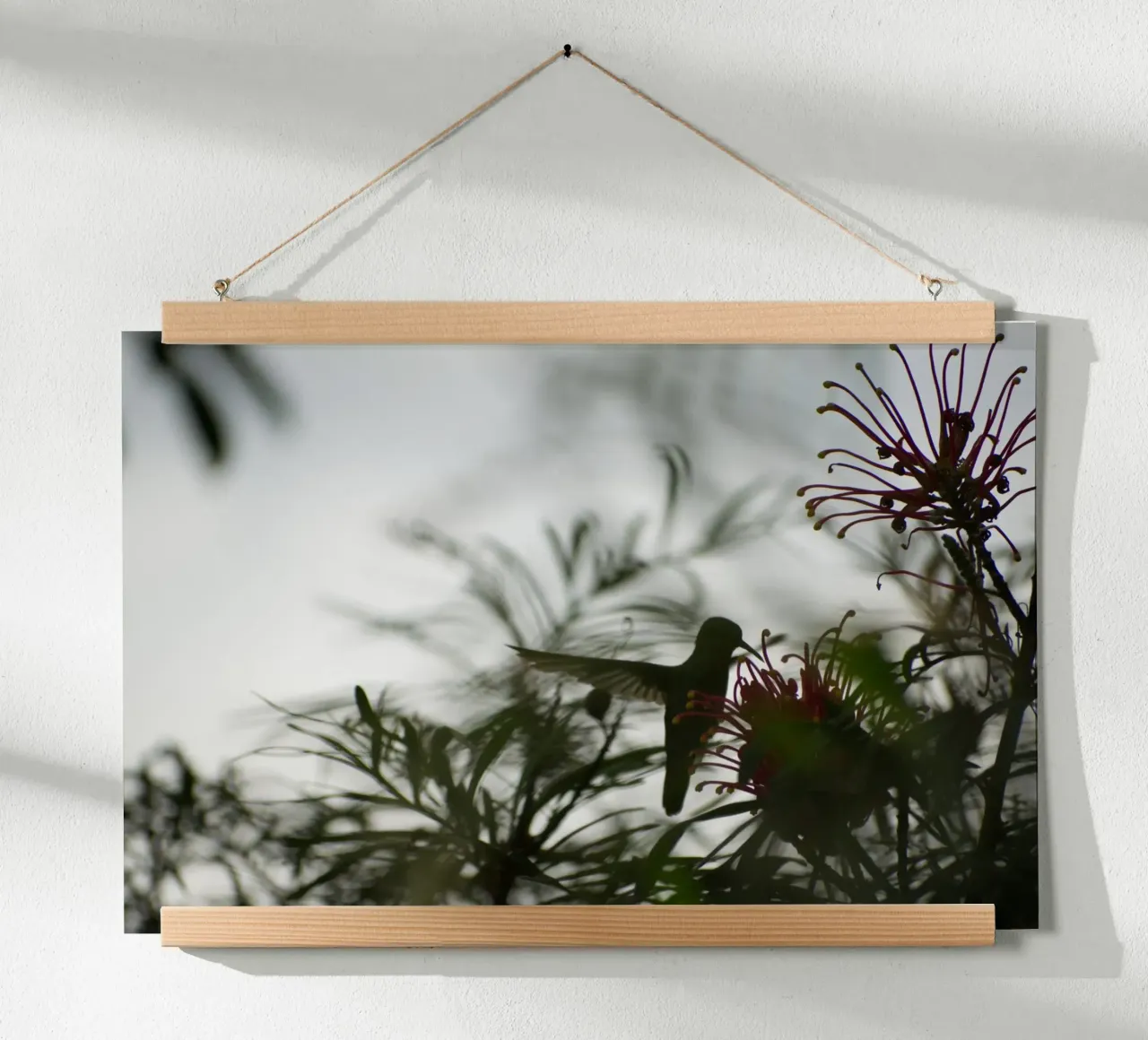 Humming bird and flowers poster da Carol Maia
