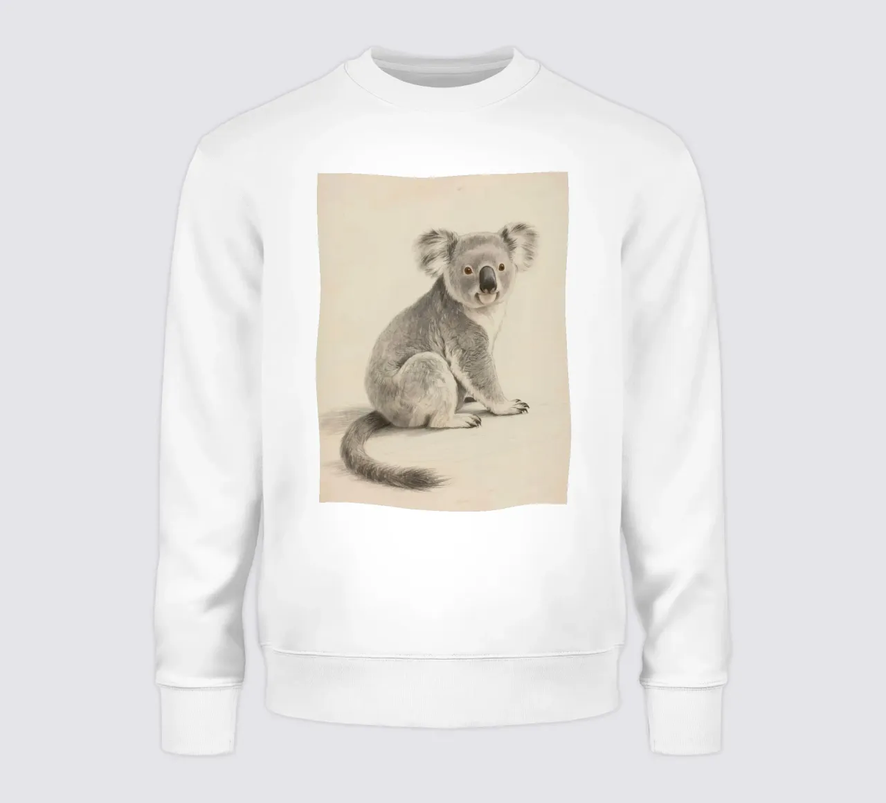 Koala felpa da knowledge