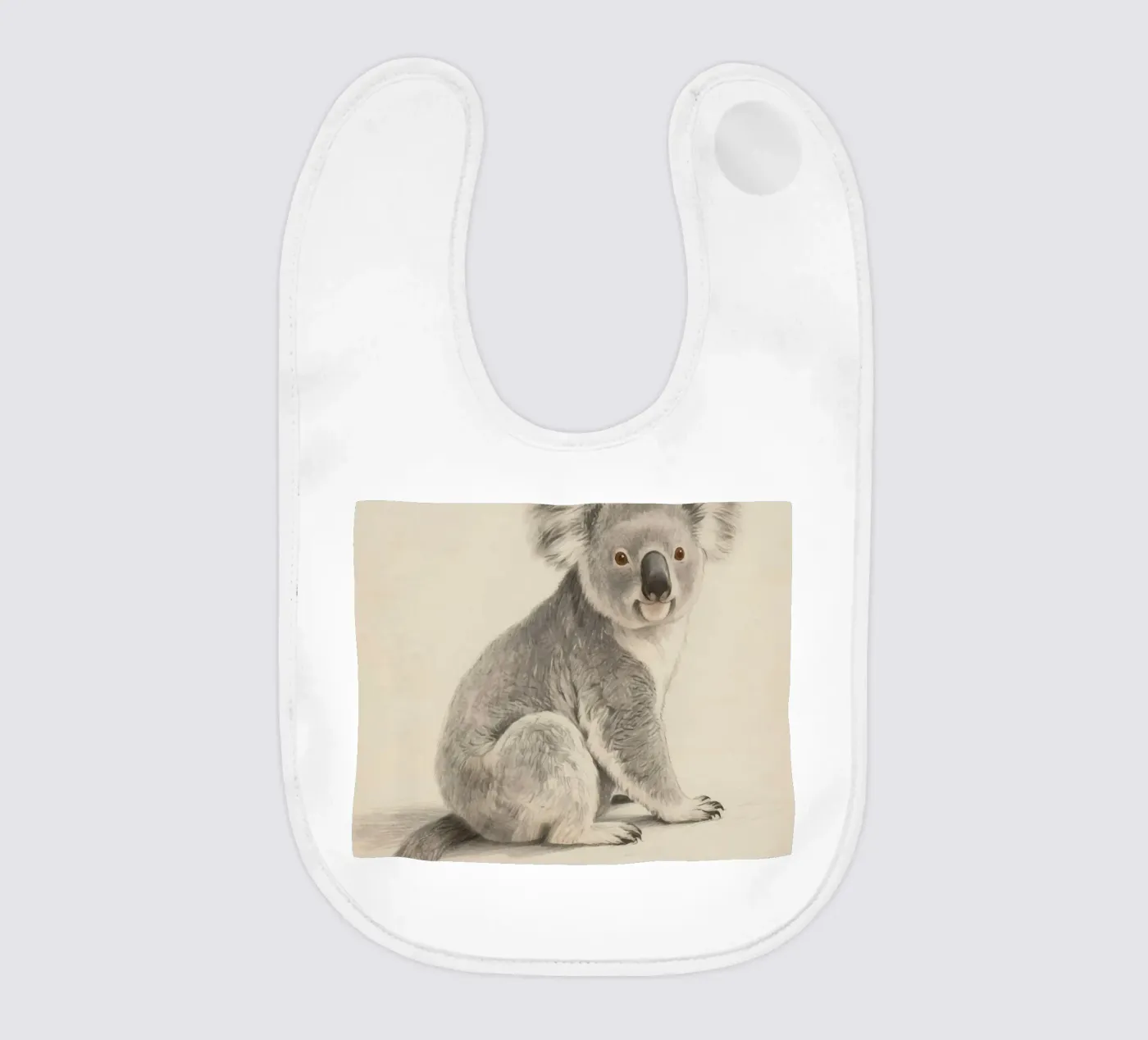 Koala bavaglino da knowledge