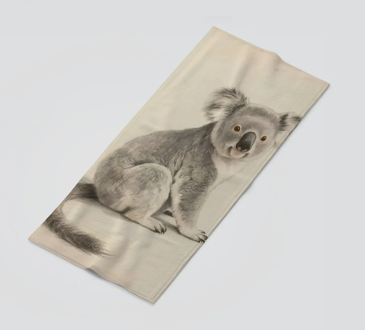 Koala telo mare da knowledge