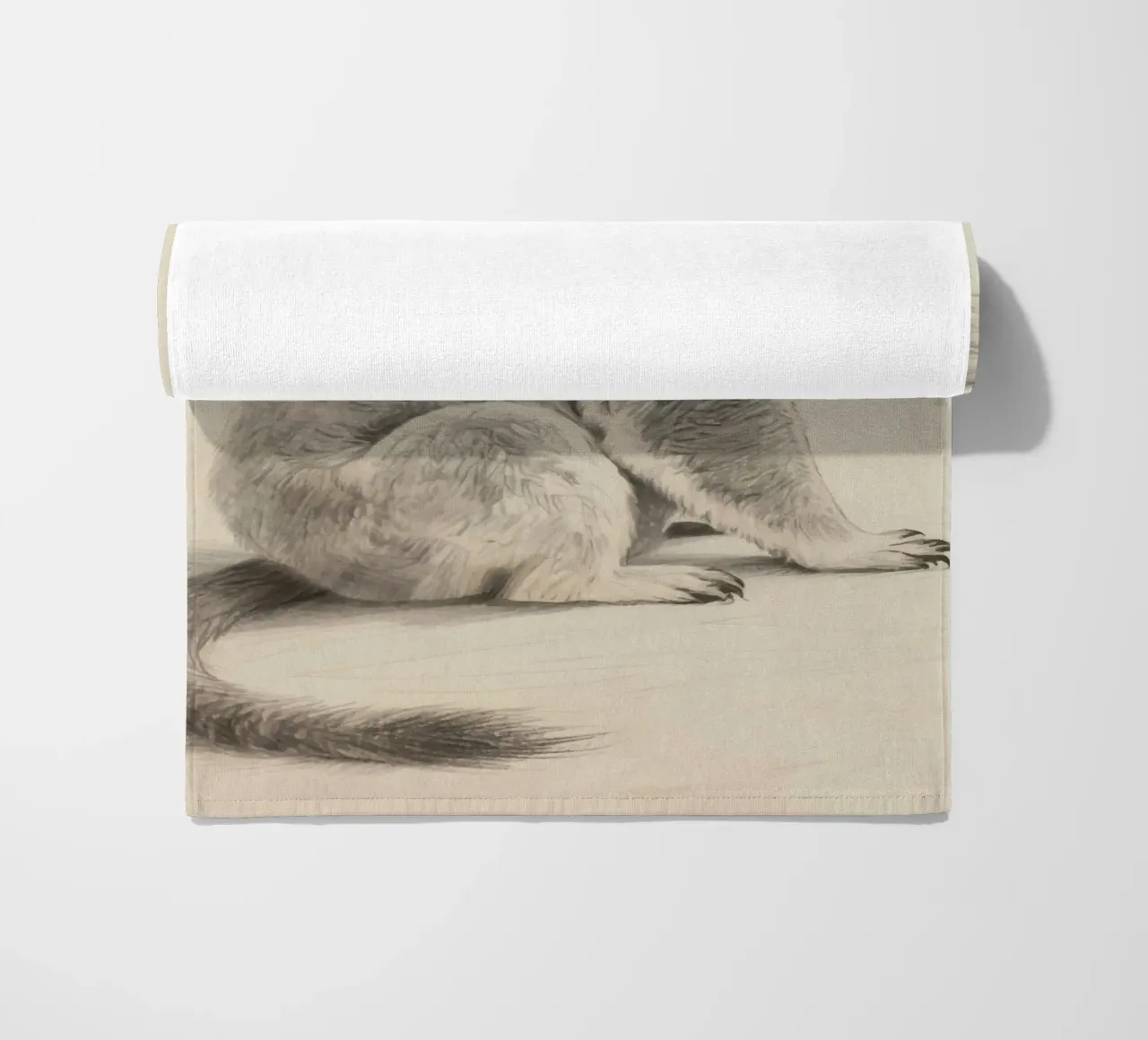 Koala telo mare da knowledge